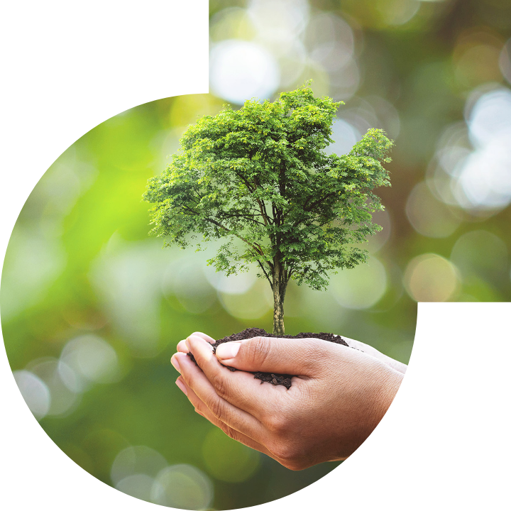 關懷人類、文化、環境與社會